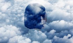 لماذا نادرا ما نرى هذه الأشياء في أحلامنا